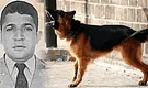 Policía militar brasileño fallece y su cuerpo es devorado por sus propios perros