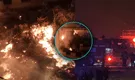Gigantesco incendio devora fábrica papelera en Ate: bomberos luchan por controlarlo