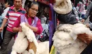 Peruana muestra sitio de venta de piel de cordero para combatir el frío en Lima y dato es viral en TikTok