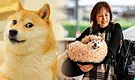 Kabosu, la Shiba Inu más famosa del mundo que inspiró el meme Doge, fallece a los 18 años