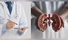 Día Mundial del Riñón: claves para cuidar la salud renal, según especialista en nefrología
