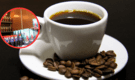 Productores de 8 regiones invitan a disfrutar 5 mil tazas de café gratis: conoce dónde y cuándo