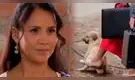 Actriz de Al Fondo Hay Sitio causa INDIGNACIÓN por EMPUJAR a un perrito callejero con el pie