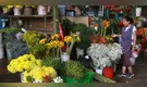 Clausuran mercado de flores en el Rímac antes del Día de la Primavera y pérdidas llegan a S/20 mil: ¿qué dice la municipalidad sobre esta medida?