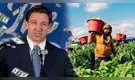 LA MEJOR NOTICIA | En este condado de Florida AUMENTARÁ el salario para estos trabajadores