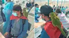 ¡La mejor compañía! Mujer acude a vacunarse contra la COVID-19 con su loro en Ica [VIDEO]
