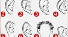 Test de personalidad: mira qué te pasará en el futuro al elegir la oreja incorrecta