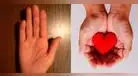 Test viral: Averigua qué dicen las líneas de tus manos ¿encontrarás el amor?