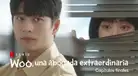Final explicado de “Woo, una abogada extraordinaria” capítulo 15 y 16 del dorama de Netflix