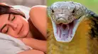 Atención: Averigua el inesperado significado detrás de soñar con una serpiente que te muerde la mano