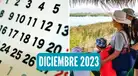 ¡Tres feriados y dos días no laborables! Conoce todas las actividades que se realizarán en diciembre
