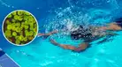 Ameba 'come cerebros': ¿Cuál es su relación con las piscinas y por qué puede ser mortal en menores de edad?