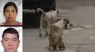 SMP: Embarazada queda grave tras ser agredida por sujeto cuando defendía a perritos callejeros