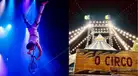 Los mejores circos desde S/19.90: descubre las ofertas y cómo acceder por fiestas patrias