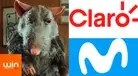 Comercial de "la rata" no es competencia desleal: Win venció a Claro y Telefónica según Indecopi