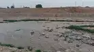 Macabro hallazgo en Ventanilla: hombre decapitado flota en las aguas y desperdicios del río Chillón