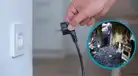 Descubre el electrodoméstico que puede causar un devastador incendio en tu casa: no es la plancha ni la tostadora