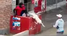 Trujillo: perro pitbull ataca a extranjero por insultar a su dueño, quien no le dio limosna