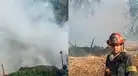 Incendio forestal en Lima: fuego ocurre detrás de colegio de Chaclacayo y amenaza con extenderse