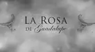 Fallece querido actor de Televisa, conocido por su participación en 'La Rosa de Guadalupe'