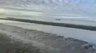 TERREMOTO en Chile: impactante video muestra cómo el MAR SE RETIRA tras devastador sismo de 7.5