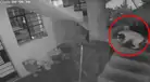 Perrita salvó a familia al apagar explosivo arrojado a casa de periodista en Huaral