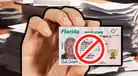Adiós a la licencia de conducir en EE.UU. | Ya no será necesario utilizarlo para este IMPORTANTE TRÁMITE