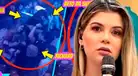 Brunella Horna se queda 'DORMIDA' en discoteca y Richard Acuña decide lucirse bailando con OTRA MUJER: "Se perdía..."