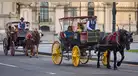 ¡NO VA MÁS! | Poder Judicial ordena el FIN de los paseos en carroza con caballos en la Plaza de Armas de Lima