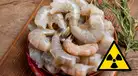 ALERTA | Retiran miles de camarones congelados en EE.UU. por una posible CONTAMINACIÓN RADIACTIVA