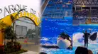 ¿Es VERDADERO o FALSO el video VIRAL del "show de orcas en el Parque de las Leyendas"? Esto respondió el zoológico peruano