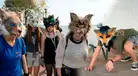 Therians: la tendencia de jóvenes que se creen animales y aúllan en plazas de Latinoamérica