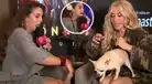 Rebeca Escribens pasa el susto de su vida cuando perro de Yuri casi la MUERDE en plena entrevista: "Ay, Santo Cristo"
