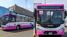 Presentan nueva flota del CORREDOR ROSADO: conoce la ruta que conecta Lima y Callao y el inicio de sus operaciones