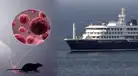 Qué es el hantavirus, cuáles son sus síntomas y cómo se contagia el virus que ya dejó tres muertos en crucero que partió de Argentina