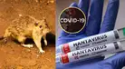 ¿Existe riesgo de que el brote de hantavirus escale a epidemia como el COVID-19? Esto dice la OMS