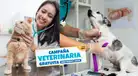 ¡Atención GRATIS para mascotas! CAMPAÑA VETERINARIA este 16 de mayo: conoce dónde será y los servicios disponibles