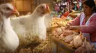 ¿Peligra el consumo de pollo? Senasa declara EMERGENCIA SANITARIA por influenza aviar y anuncia duras prohibiciones