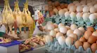 Gripe aviar en Perú: ¿Es seguro comer pollo y huevos tras alerta de Senasa? Minsa aclara dudas tras emergencia sanitaria