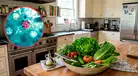 Brote de Cyclospora en EE.UU.: Autoridades revelan POSIBLE ALIMENTO que sería la FUENTE DE CONTAGIO