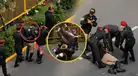 ¡Todo quedó grabado! Jinete de la PNP sufrió fuerte CAÍDA durante la Parada Militar