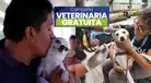 Campaña VETERINARIA GRATIS para perros y gatos: CONOCE dónde atenderán a tu MASCOTA este 20 de agosto