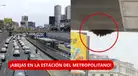 ¡ALERTA EN EL METROPOLITANO! Enjambre de ABEJAS obliga a CERRAR estación | ¿Qué pasó con los pasajeros?