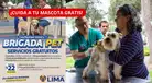 ¡ATENCIÓN, DUEÑOS DE MASCOTAS! Municipalidad de Lima dará CONSULTAS y desparasitación GRATIS | REVISA dónde y cuándo