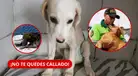 ¡Hasta 5 años de CÁRCEL por MALTRATO ANIMAL en Perú!: revisa AQUÍ cómo denunciar y qué penas contempla la ley