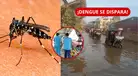 ¡DENGUE SE DISPARA EN TUMBES! Casos superan los 2.300 y lluvias por El Niño encienden las ALERTAS: ¿qué zonas preocupan?