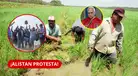 ¡PARO podría coincidir con visita del PAPA LEÓN XIV! Arroceros de Ucayali alistan PROTESTA por crisis: ¿qué exigen?