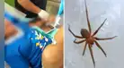 Adolescente fallece tras ser mordida por una araña: autoridades lanzan importante advertencia