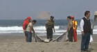 Lurín: Hallan cuerpo de escolar ahogado en playa San Pedro 
