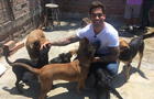 Thiago Cunha lleva alegría y samba a más de 15 perritos (FOTOS)